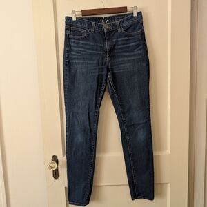Spanx 30 Slim X Skinny Jeans